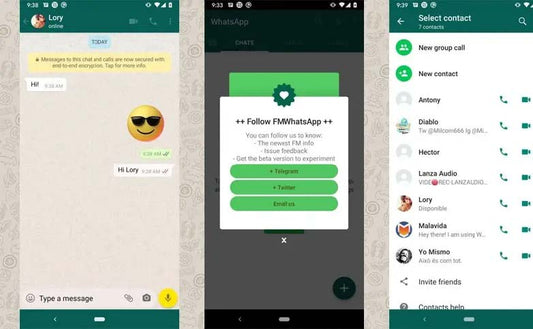FM WhatsApp v10 (Android Digital Delivery 2025)