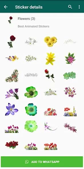 Flowers Stickers for WhatsApp v3 (Android Digital Delivery 2025)