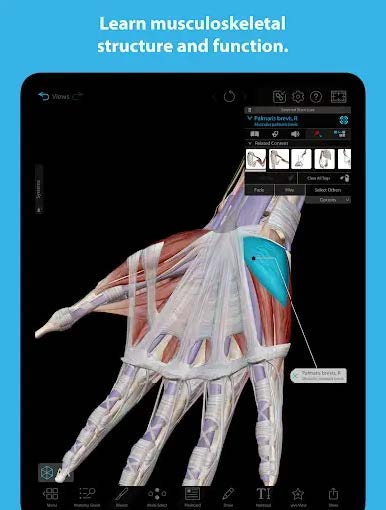 Human Anatomy Atlas 2024 (Android Digital Delivery 2025)