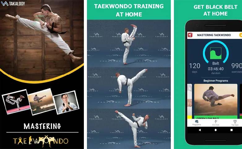Mastering Taekwondo at Home (Android Digital Delivery 2025)
