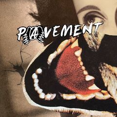 Pavement - Hecklers Choice Big Gums And Heavy Lifters A Pavement Collection (2025) CD