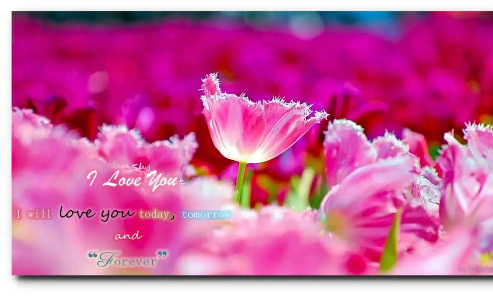 Thank you card messages v9 (Android Digital Delivery 2025)
